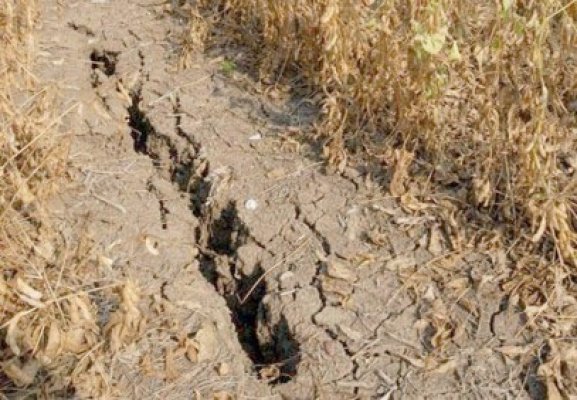 Constantin îi linişteşte pe fermieri: Nu avem secetă!